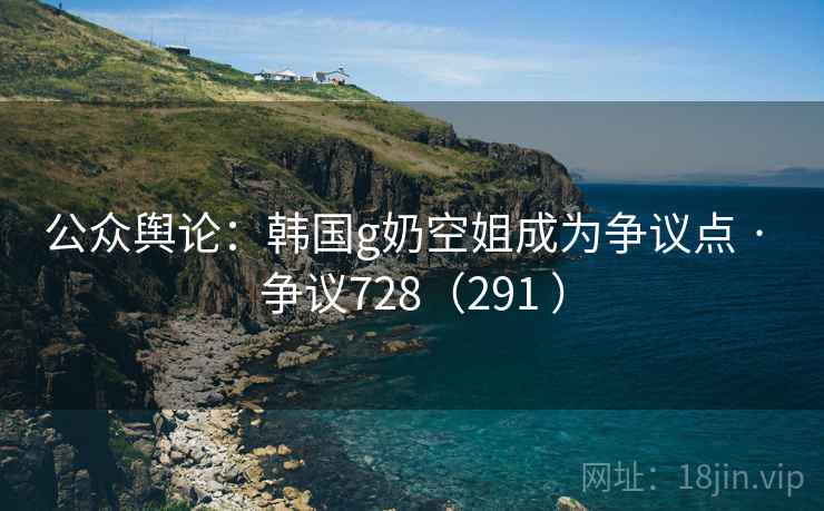 公众舆论：韩国g奶空姐成为争议点 · 争议728（291 ）